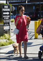 Minka Kelly out with Her Dogs in Los Angeles 05-27-2017
21 Photos
Photoset #367784
@BestEyeCandy.com