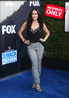 Brie Bella nikki Bella WWE 20th Anniversary Celebration Staples Center Los Angeles 04.10.2019 x86
2400x3380 1.5 mb
Viewed 1 time
@BestEyeCandy.com