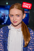 Celebrity Photo: Sadie Sink
3263x4903   2.6 mb
Viewed 1 time
@BestEyeCandy.com