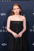 Celebrity Photo: Sadie Sink
1365x2048 698 kb
Viewed 7 times
@BestEyeCandy.com