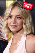 Celebrity Photo: Sydney Sweeney
3781x5672 3.2 mb
Viewed 1 time
@BestEyeCandy.com