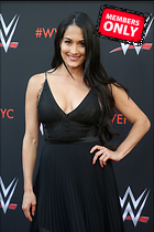 Brie Bella nikki Bella WWE FYC Event in Los Angeles 6th June 2018
2397x3600 2.0 mb
Viewed 1 time
@BestEyeCandy.com