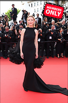 Celebrity Photo: Cate Blanchett
4000x6000 3.0 mb
Viewed 0 times
@BestEyeCandy.com