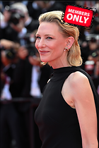 Celebrity Photo: Cate Blanchett
3712x5568 1.7 mb
Viewed 0 times
@BestEyeCandy.com