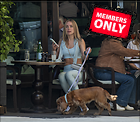 Celebrity Photo: Kimberley Garner
2843x2477 2.2 mb
Viewed 0 times
@BestEyeCandy.com