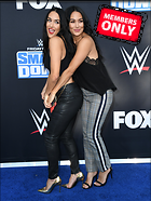 Brie Bella nikki Bella WWE 20th Anniversary Celebration Staples Center Los Angeles 04.10.2019 x86
2639x3500 2.4 mb
Viewed 1 time
@BestEyeCandy.com