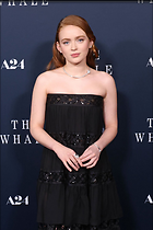 Celebrity Photo: Sadie Sink
1280x1920   165 kb
Viewed 6 times
@BestEyeCandy.com