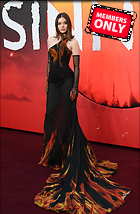 Celebrity Photo: Hailee Steinfeld
3600x5501 1.8 mb
Viewed 1 time
@BestEyeCandy.com