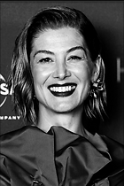 Celebrity Photo: Rosamund Pike
1352x2028 940 kb
Viewed 8 times
@BestEyeCandy.com