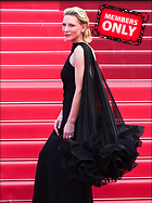 Celebrity Photo: Cate Blanchett
4247x5662 2.0 mb
Viewed 0 times
@BestEyeCandy.com