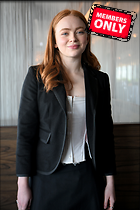Celebrity Photo: Sadie Sink
3333x5000   6.7 mb
Viewed 1 time
@BestEyeCandy.com