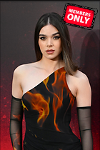 Celebrity Photo: Hailee Steinfeld
1877x2816 1.7 mb
Viewed 1 time
@BestEyeCandy.com