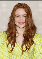 Celebrity Photo: Sadie Sink
800x1118   134 kb
Viewed 9 times
@BestEyeCandy.com