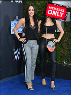 Brie Bella nikki Bella WWE 20th Anniversary Celebration Staples Center Los Angeles 04.10.2019 x86
2634x3500 2.8 mb
Viewed 1 time
@BestEyeCandy.com
