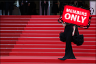 Celebrity Photo: Cate Blanchett
7435x4957 2.9 mb
Viewed 0 times
@BestEyeCandy.com