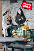 Brie Bella nIKKI and Out Shopping for Pumpkins in Napa Valley 09-20-2024
2186x3279 3.5 mb
Viewed 1 time
@BestEyeCandy.com
