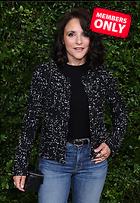 Celebrity Photo: Julia Louis Dreyfus
2568x3727 2.1 mb
Viewed 0 times
@BestEyeCandy.com