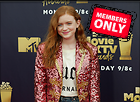 Celebrity Photo: Sadie Sink
1800x1314 1.8 mb
Viewed 0 times
@BestEyeCandy.com