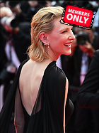 Celebrity Photo: Cate Blanchett
4605x6140 2.0 mb
Viewed 0 times
@BestEyeCandy.com
