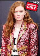 Celebrity Photo: Sadie Sink
3192x4469 2.0 mb
Viewed 0 times
@BestEyeCandy.com