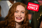 Celebrity Photo: Sadie Sink
6062x4016 1.6 mb
Viewed 1 time
@BestEyeCandy.com