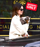 Celebrity Photo: Kendall Jenner
1573x1837 1.8 mb
Viewed 1 time
@BestEyeCandy.com