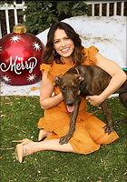 Celebrity Photo: Bethany Joy Lenz
1200x1714 509 kb
Viewed 23 times
@BestEyeCandy.com
