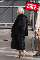 Celebrity Photo: Naomi Watts
2333x3499   2.6 mb
Viewed 0 times
@BestEyeCandy.com