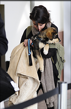 Celebrity Photo: Selena Gomez
2850x4359 940 kb
Viewed 7 times
@BestEyeCandy.com