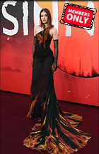 Celebrity Photo: Hailee Steinfeld
3614x5568 1.8 mb
Viewed 1 time
@BestEyeCandy.com