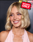 Celebrity Photo: Sydney Sweeney
5088x6360 5.2 mb
Viewed 1 time
@BestEyeCandy.com