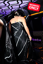 Celebrity Photo: Demi Moore
2331x3500 3.1 mb
Viewed 0 times
@BestEyeCandy.com