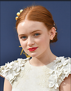 Celebrity Photo: Sadie Sink
2026x2593 914 kb
Viewed 11 times
@BestEyeCandy.com