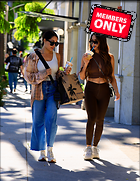 Celebrity Photo: Brie Bella
2704x3500 3.2 mb
Viewed 0 times
@BestEyeCandy.com