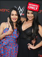 Brie Bella nikki Bella WWE FYC Event in Los Angeles 6th June 2018
2563x3500 2.4 mb
Viewed 1 time
@BestEyeCandy.com