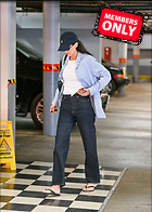 Celebrity Photo: Kendall Jenner
2500x3500 3.3 mb
Viewed 0 times
@BestEyeCandy.com