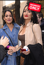 Celebrity Photo: Brie Bella
2342x3500 2.2 mb
Viewed 0 times
@BestEyeCandy.com