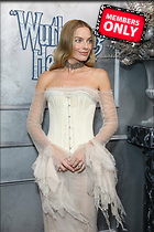 Celebrity Photo: Margot Robbie
4017x6025 2.0 mb
Viewed 1 time
@BestEyeCandy.com