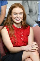 Celebrity Photo: Sadie Sink
1365x2048   1,021 kb
Viewed 3 times
@BestEyeCandy.com