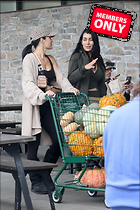 Brie Bella nIKKI and Out Shopping for Pumpkins in Napa Valley 09-20-2024
2111x3166 3.3 mb
Viewed 1 time
@BestEyeCandy.com