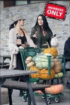 Brie Bella nIKKI and Out Shopping for Pumpkins in Napa Valley 09-20-2024
2148x3222 3.5 mb
Viewed 1 time
@BestEyeCandy.com