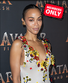 Celebrity Photo: Zoe Saldana
2121x2592 2.4 mb
Viewed 1 time
@BestEyeCandy.com
