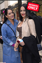 Celebrity Photo: Brie Bella
2342x3500 2.4 mb
Viewed 0 times
@BestEyeCandy.com