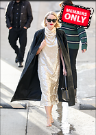 Celebrity Photo: Naomi Watts
2500x3500   3.0 mb
Viewed 0 times
@BestEyeCandy.com