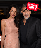Celebrity Photo: George Clooney
2529x3000 1.9 mb
Viewed 0 times
@BestEyeCandy.com