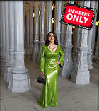 Celebrity Photo: Salma Hayek
2863x3220 1.7 mb
Viewed 0 times
@BestEyeCandy.com