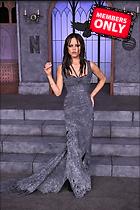 Celebrity Photo: Jenna Ortega
3592x5392 2.6 mb
Viewed 0 times
@BestEyeCandy.com