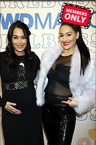 Brie Bella nikki Bella seen at the Boss CEOs panel in Las Vegas NV 07.02.2020 x25
2329x3500 1.5 mb
Viewed 1 time
@BestEyeCandy.com