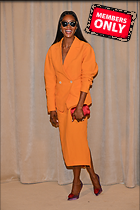 Celebrity Photo: Naomi Campbell
3333x5000 2.5 mb
Viewed 0 times
@BestEyeCandy.com