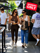 Celebrity Photo: Brie Bella
2636x3500 2.9 mb
Viewed 0 times
@BestEyeCandy.com